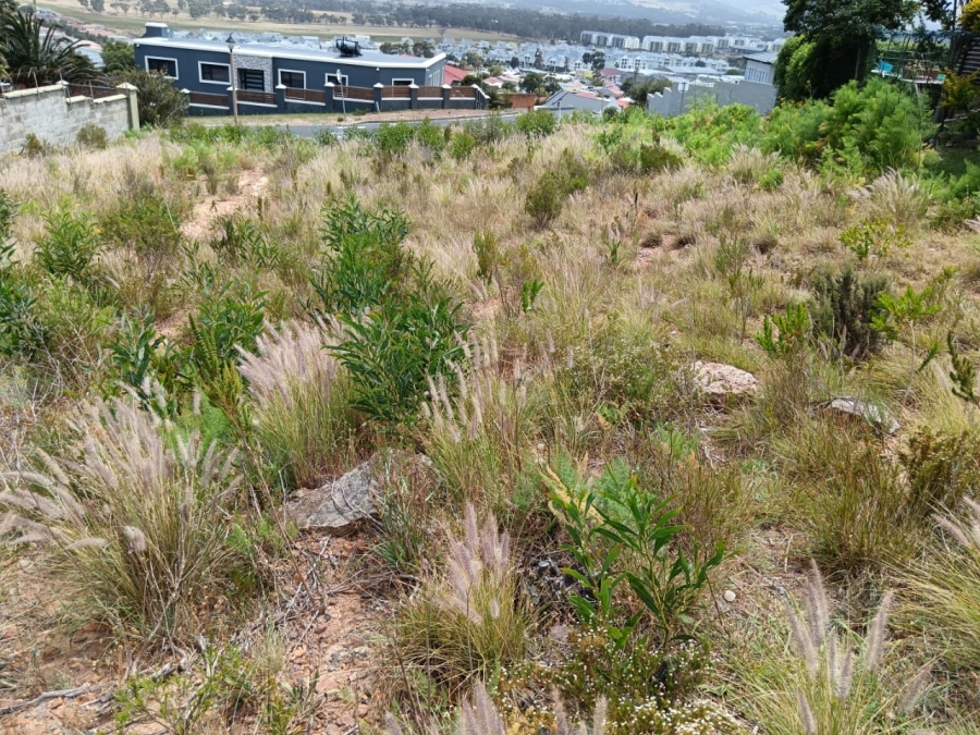 0 Bedroom Property for Sale in Mountainside Western Cape